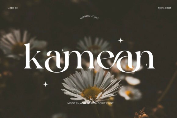 Kamean: The Serif Font for Organic Sophistication